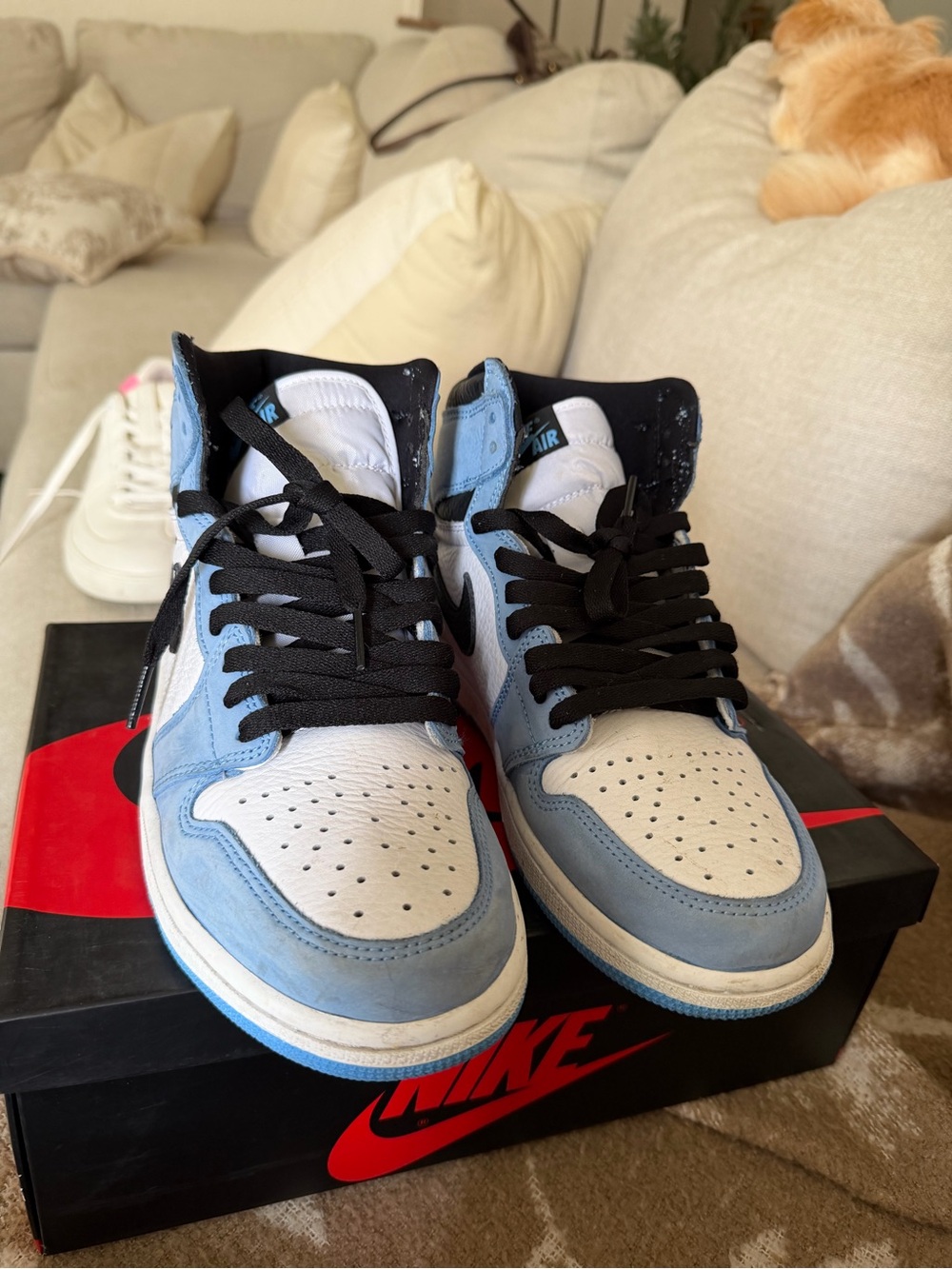 Nike Air Jordan 1 High Light Blue and White Sneakers